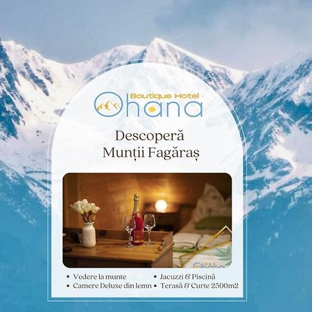 Ohana Boutique Hotel Vistea de Sus Zewnętrze zdjęcie