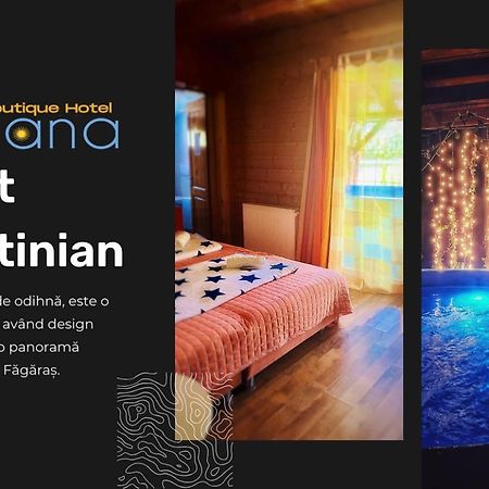 Ohana Boutique Hotel Vistea de Sus Zewnętrze zdjęcie