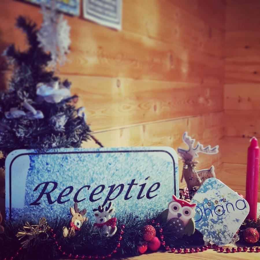 Ohana Boutique Hotel Vistea de Sus Zewnętrze zdjęcie