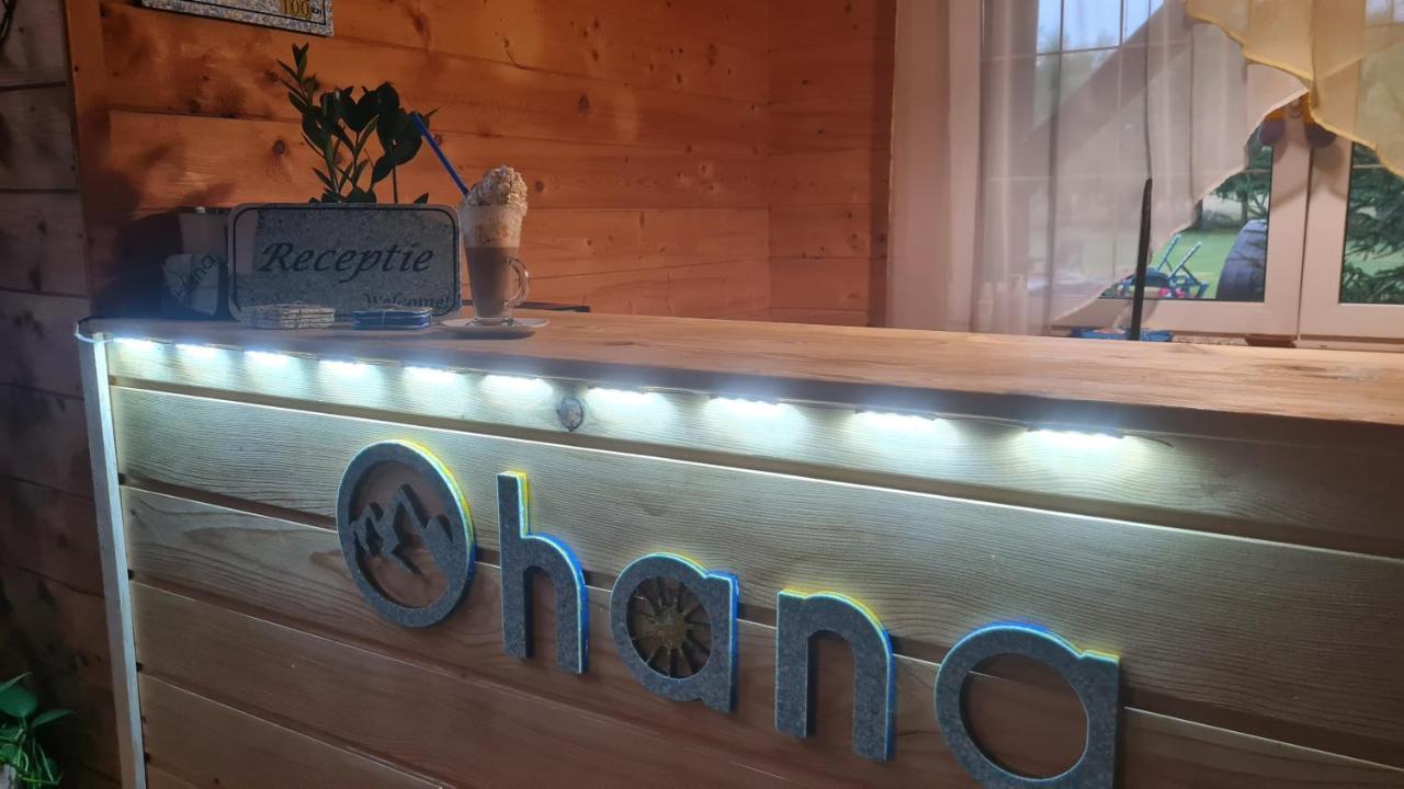Ohana Boutique Hotel Vistea de Sus Zewnętrze zdjęcie