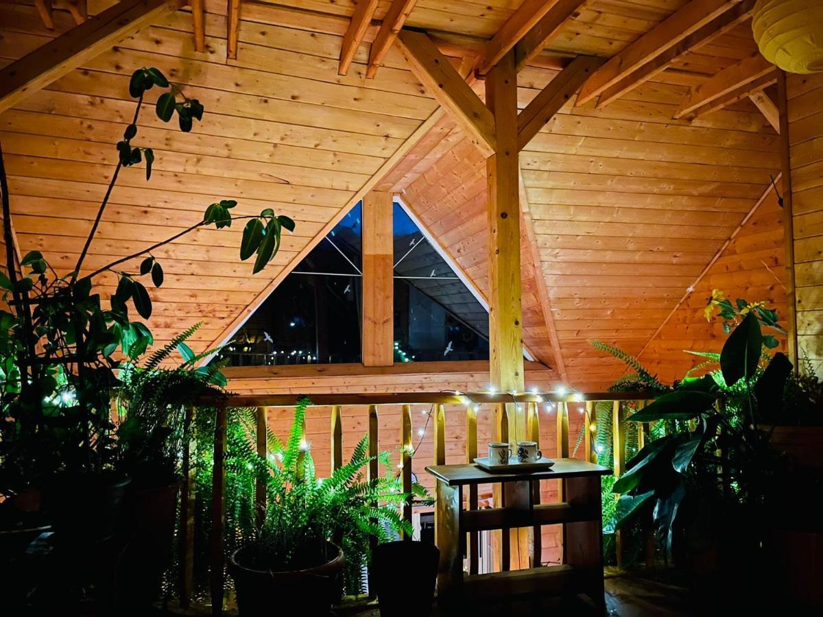 Ohana Boutique Hotel Vistea de Sus Zewnętrze zdjęcie