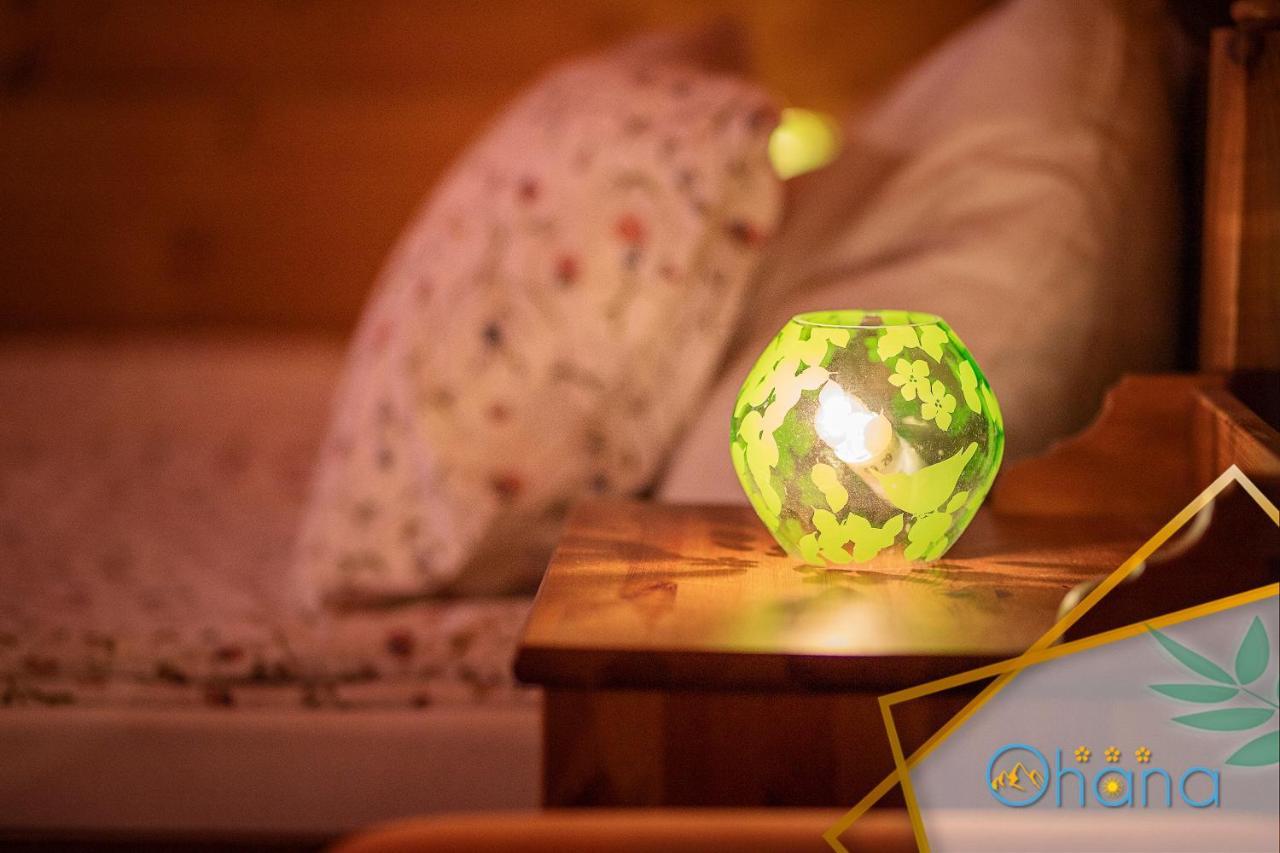 Ohana Boutique Hotel Vistea de Sus Zewnętrze zdjęcie
