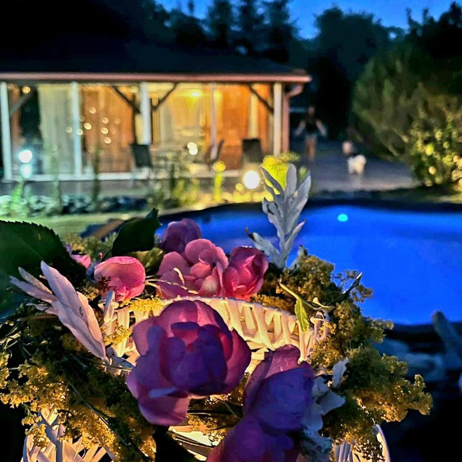 Ohana Boutique Hotel Vistea de Sus Zewnętrze zdjęcie