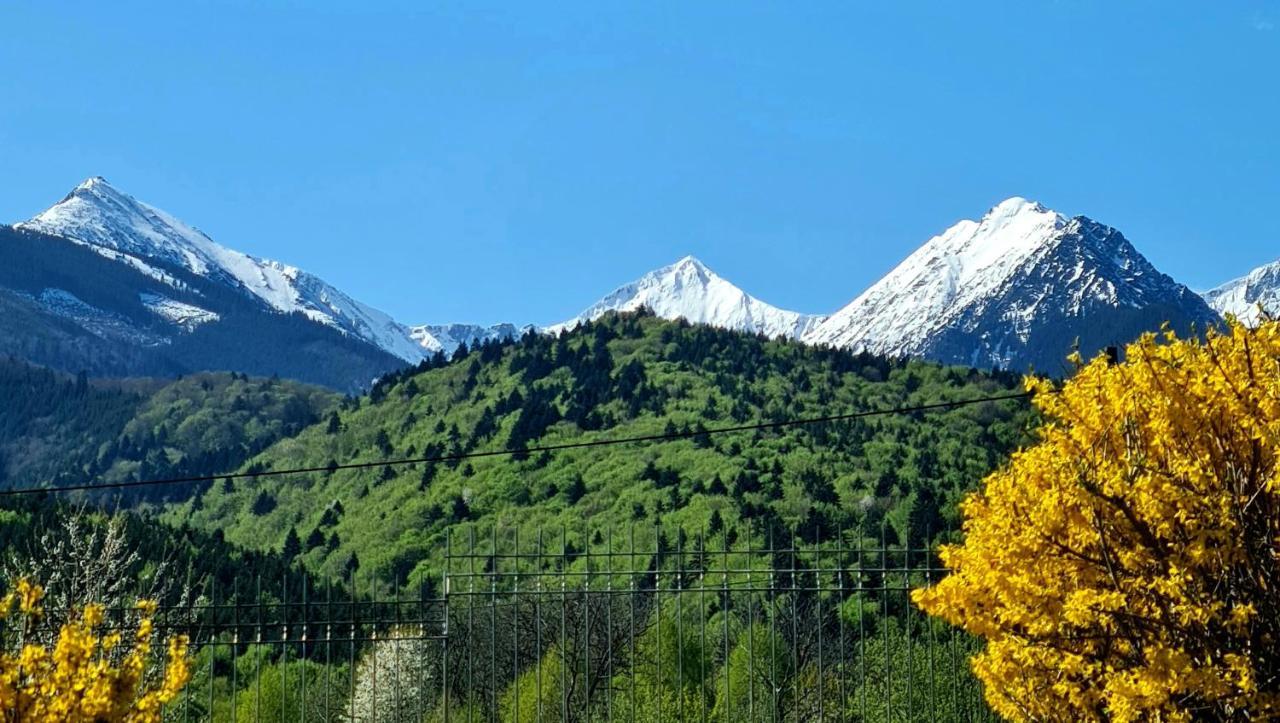 Ohana Boutique Hotel Vistea de Sus Zewnętrze zdjęcie