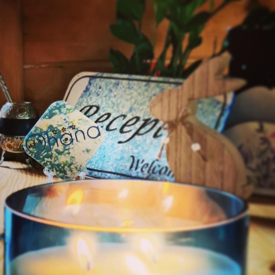 Ohana Boutique Hotel Vistea de Sus Zewnętrze zdjęcie