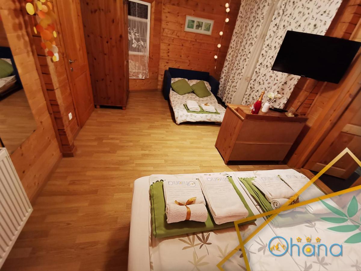 Ohana Boutique Hotel Vistea de Sus Zewnętrze zdjęcie