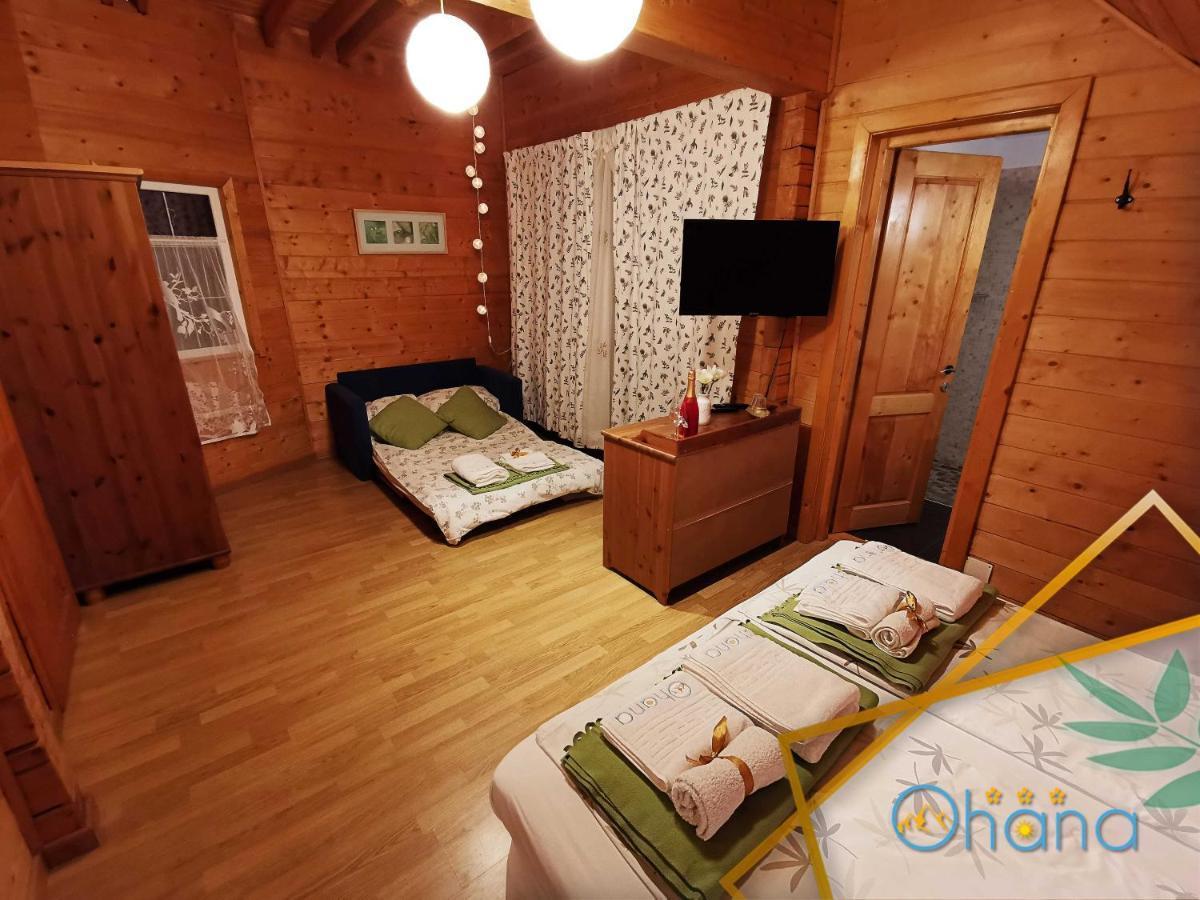 Ohana Boutique Hotel Vistea de Sus Zewnętrze zdjęcie