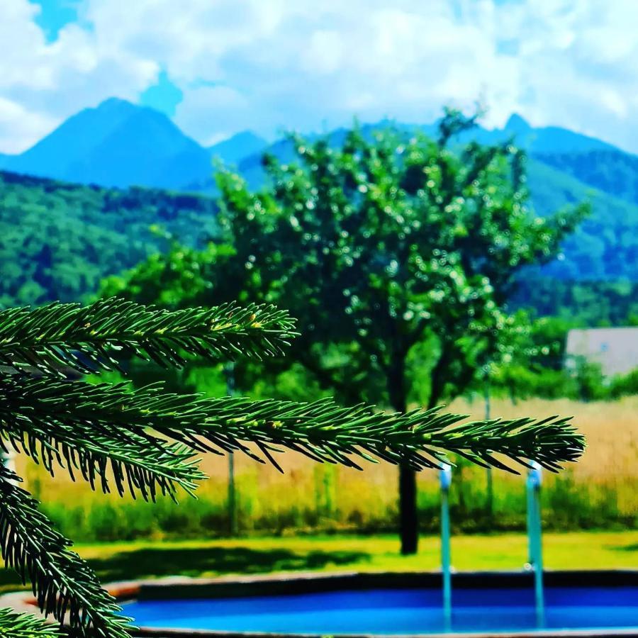 Ohana Boutique Hotel Vistea de Sus Zewnętrze zdjęcie