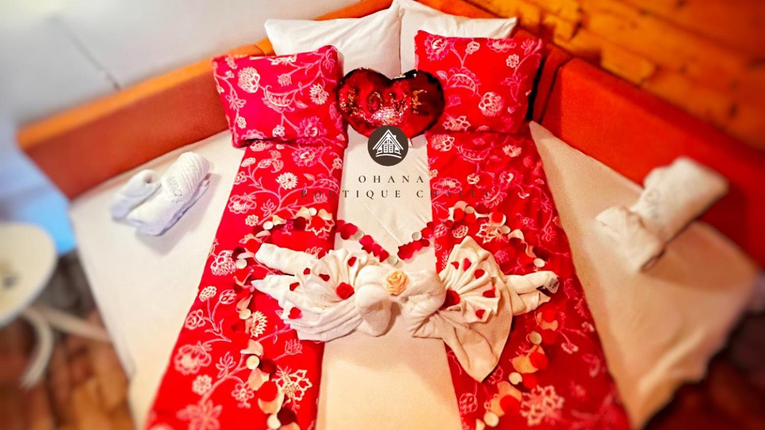 Ohana Boutique Hotel Vistea de Sus Zewnętrze zdjęcie
