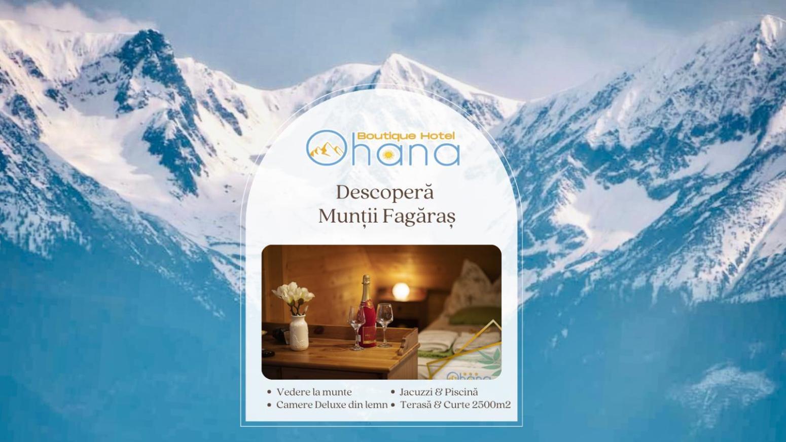 Ohana Boutique Hotel Vistea de Sus Zewnętrze zdjęcie